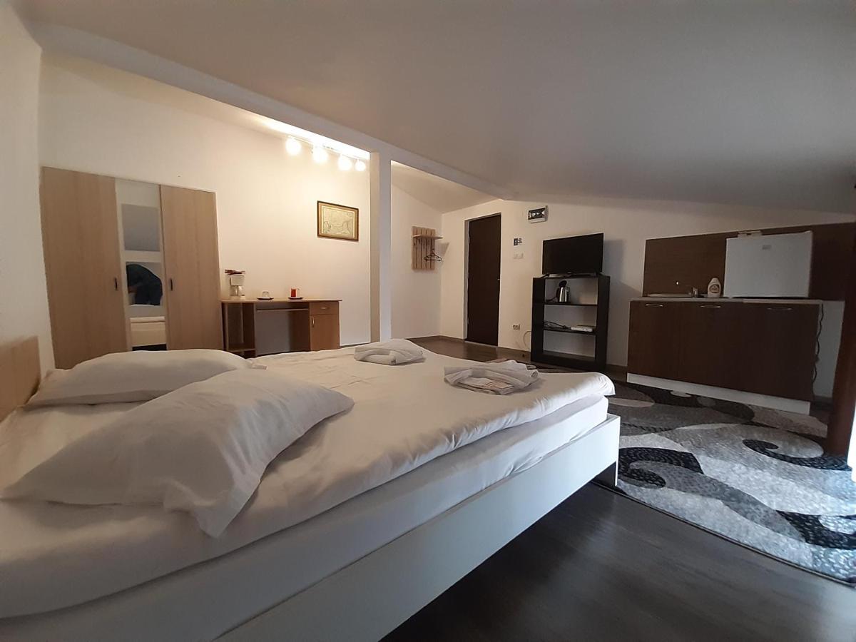 Copou Holding House Lägenhet Iasi Exteriör bild